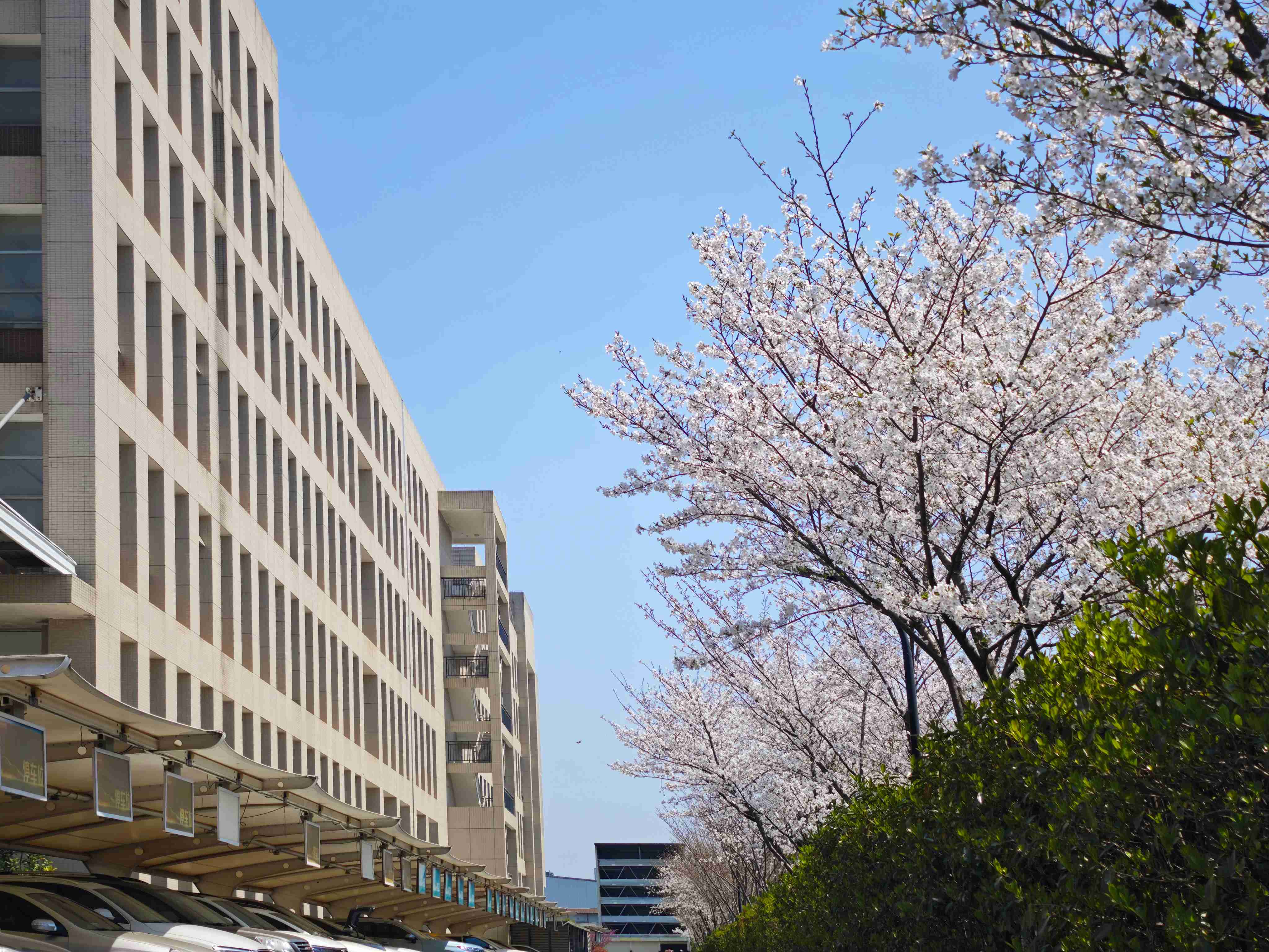 午夜精品人妻无码一区二区三区