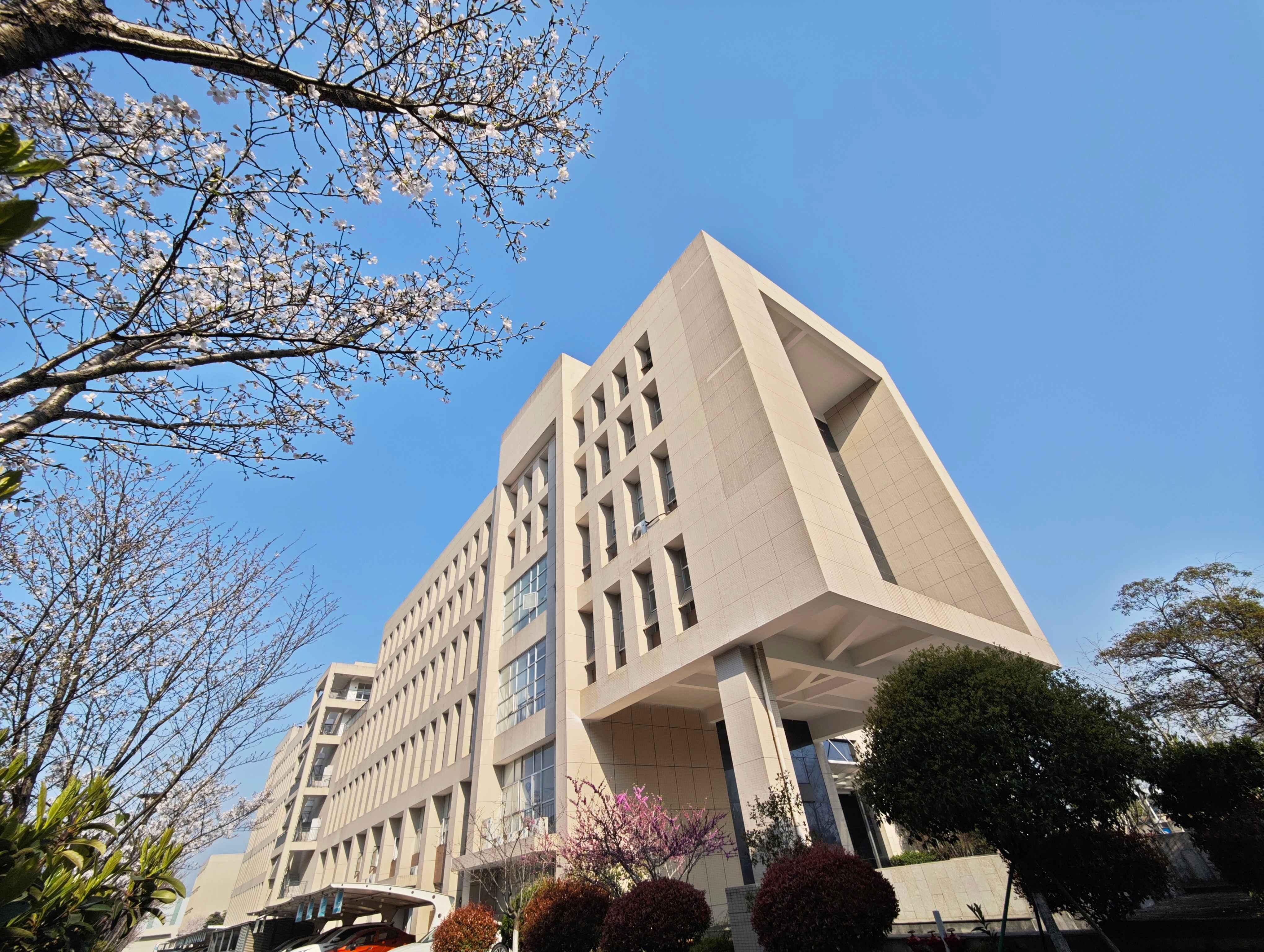 午夜精品人妻无码一区二区三区